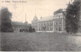 BELGIQUE - CELLES - Château De Saives - Carte Postale Ancienne - Autres & Non Classés