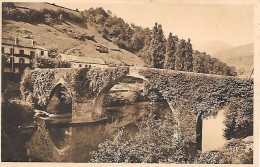 BIDARRAY  ( 64 ) - Vieux Pont Sur La Nive - Bidarray
