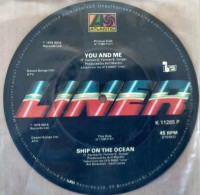 Liner You And Me 45 Giri Vinile Picture Disc - Special Formats