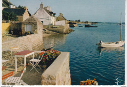 56 - LOCMARIAQUER / PETIT PORT - Locmariaquer