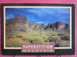 Visuel Très Peu Courant - USA - Arizona - Superstition Mountain - R/verso - Autres & Non Classés