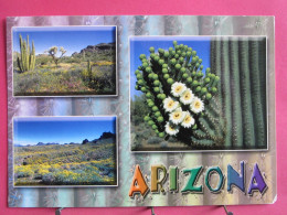 Visuel Très Peu Courant - USA - Arizona - Spring In The Sonoran Desert - R/verso - Sonstige & Ohne Zuordnung