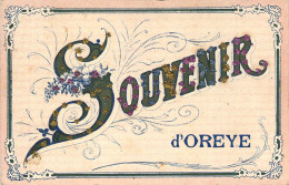 BELGIQUE - Souvenir D'OREYE - Carte Postale Ancienne - Oreye