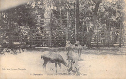 FRANCE - Nouvelle-Calédonie - Nouméa - Parc Du Gouvernement - Les Cerfs - Carte Postale Ancienne - Nouvelle Calédonie