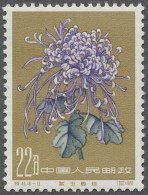 China (PRC): 1961, "Chrysanthemen II" 6 Werte Komplett In Guter Postfrischer Erh - Unused Stamps