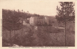 St Martin En Haut * Le Château De La Batie Et Les Bois - Other & Unclassified