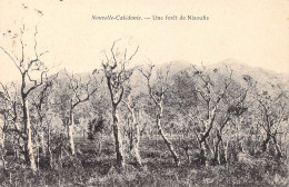 FRANCE - Nouvelle-Calédonie - Une Forêt De Niaoulis - Carte Postale Ancienne - Nouvelle Calédonie