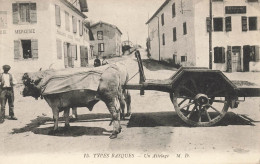 Types Basques N°15 éditeur M.D. * Un Attelage * Boeufs Mercerie épicerie * Villageois - Andere & Zonder Classificatie