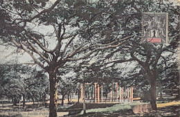 FRANCE - Nouvelle Calédonie - Nouméa - Jardin Public - Carte Postale Ancienne - Nouvelle Calédonie
