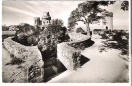 Burgrestaurant Auerbacher Schloß - Sagenkiefer Mit Süd- Und Nordturm   - Von 1955 (6395) - Bensheim