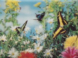 Cpa ( En 3 D )- Animaux - Papillon - Butterfly - Carte En Relief / Hologramme -edi M.D - Papillons