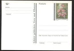 WEISSER DIPTAM Dictamnus Albus Österreich Postkarte P551  Postfrisch Feinst 2001 Kat.4,00€ - Plantas Tóxicas