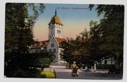 Zürich  Landesmuseum , Gelaufen 1920y.   G822 - Laufen-Uhwiesen 