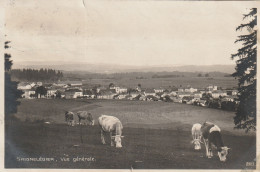 SAIGNELEGIER  -  Vue Générale - Saignelégier