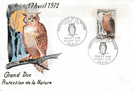 FDC UNIQUE CAR PEINTE A LA MAIN : " GRAND-DUC ". N° YT 1694. Admirez Le Travail De L'Artiste ! - Águilas & Aves De Presa