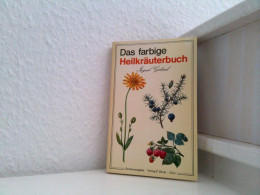 Das Farbige Heilkräuterbuch - Santé & Médecine