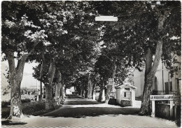 D 83.  LA ROQUEBRUSSANNE.   ENTREE DU VILLAGE - La Roquebrussanne