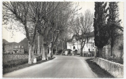 D 83.  LA ROQUEBRUSSANNE. L ENTREE DU VILLAGE - La Roquebrussanne