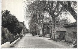 D 83.  LA ROQUEBRUSSANNE. LA RUE DU PORTAIL - La Roquebrussanne