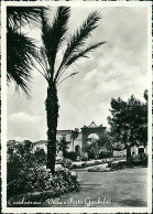 Delcampe - CASTELVETRANO ( TRAPANI ) VILLA E PORTA GARIBALDI - EDIZIONE G.S.P. - 1950s (15658) - Trapani