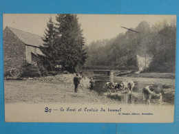 Sy Le Pont Et L'entrée Du Tunnel - Ferrières