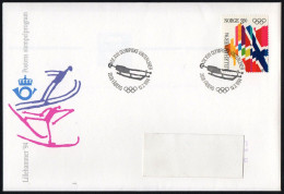 NORWAY FABERG 1994 - OLYMPIC WINTER GAMES LILLEHAMMER '94 - LUGE - MAILED COVER - G - Invierno 1994: Lillehammer