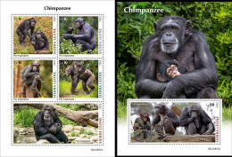 Sierra Leone 2022, Animals, Gorillas, 5val In BF+BF - Gorilla's