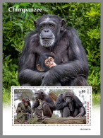 SIERRA LEONE 2022 MNH Chimpanzee Schimpansen Chimapanze S/S - OFFICIAL ISSUE - DHQ2319 - Chimpanzés