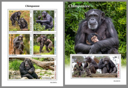 SIERRA LEONE 2022 MNH Chimpanzee Schimpansen Chimapanze M/S+S/S - OFFICIAL ISSUE - DHQ2319 - Chimpanzees