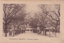 POSTCARD PORTUGAL - CASTELO BRANCO - PASSEIO PÚBLICO - Castelo Branco