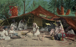 CAMPEMENT DE NOMADES DANS UNE OASIS - Sahara Occidental