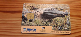 Phonecard Argentina - Crocodile - Argentine