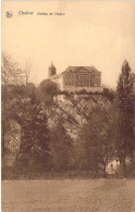 BELGIQUE - CHOKIER - Château De Chokier - Carte Postale Ancienne - Autres & Non Classés