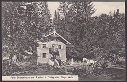 Spiegelau Forstdiensthütte Am Rachel Bay. Wald Um 1910 Mit Pferdekutsche Unbeschrieben Rs. St. Racheldiensthütte - Freyung