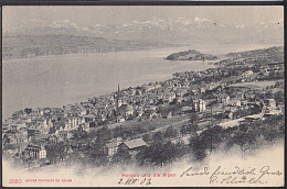 Horgen Und Die Alpen  Ak 1903 Poststempel WOHLHUSEN Saub. Frankatur Nach Leipzig Lindenau - Horgen