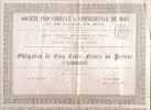 Sté Indus. & Commerciale De BOIS Et De PAVAGE EN BOIS  1887 -  6000 Actions De 500f - Industrie
