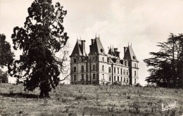 49 - TIERCE - S15842 - Château De La Besnerie - Colonie De Vacances D'Argenteuil - CPSM 14x9 Cm - Tierce