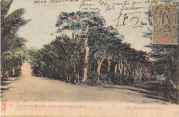 FRANCE - Nouvelle-Calédonie - Avenues De Bourail, Centre De Concessionnaires - Carte Postale Ancienne - Nouvelle Calédonie