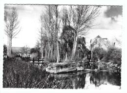 ROTSELAAR  De Molen - Rotselaar