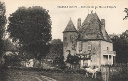 MASSAY : CHATEAU DE LA MOTTE D'HYORS - Massay