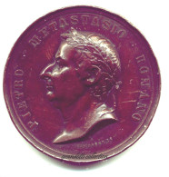 PIETRO METASTASIO ROMANO 1882 MEDAGLIA CENTENARIO MORTE - Firma's