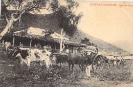 FRANCE - Nouvelle Calédonie - Case De Colon - Carte Postale Ancienne - Nouvelle Calédonie