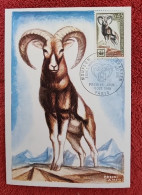 FRANCE Mouflons, Mammifères, Yvert N° 1613 Carte Maximum FDC, 1er Jour - Autres & Non Classés