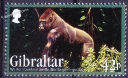 Gibraltar 2012 MNH, Western Lowland Gorilla, Monkeys Wild Animals - Gorilla