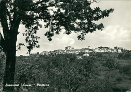 SCAPEZZANO ( SENIGALLIA ) PANORAMA - FOTO CANDIOTTI - SPEDITA 1972  (15771) - Senigallia