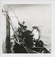 Delcampe - Le Retour Des Dorissiers Vers 1936-39, Envoie Des Morues à Bord, Payé à La Pièce - Alain Du Manoir Photographe Cp Vierge - Fischerei