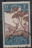 NOUVELLE CALEDONIE NEW NUOVA CALEDONIA 1928 POSTAGE DUE STAMPS TAXE SEGNATASSE MALAYAN SAMBAR 2c USED OBLITERE' USATO - Impuestos