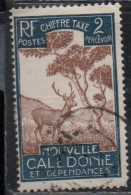 NOUVELLE CALEDONIE NEW NUOVA CALEDONIA 1928 POSTAGE DUE STAMPS TAXE SEGNATASSE MALAYAN SAMBAR 2c USED OBLITERE' USATO - Timbres-taxe