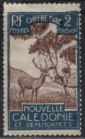 NOUVELLE CALEDONIE NEW NUOVA CALEDONIA 1928 POSTAGE DUE STAMPS TAXE SEGNATASSE MALAYAN SAMBAR 2c USED OBLITERE' USATO - Impuestos