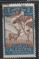 NOUVELLE CALEDONIE NEW NUOVA CALEDONIA 1928 POSTAGE DUE STAMPS TAXE SEGNATASSE MALAYAN SAMBAR 2c USED OBLITERE' USATO - Segnatasse